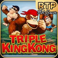 RTP jdb solidplay99